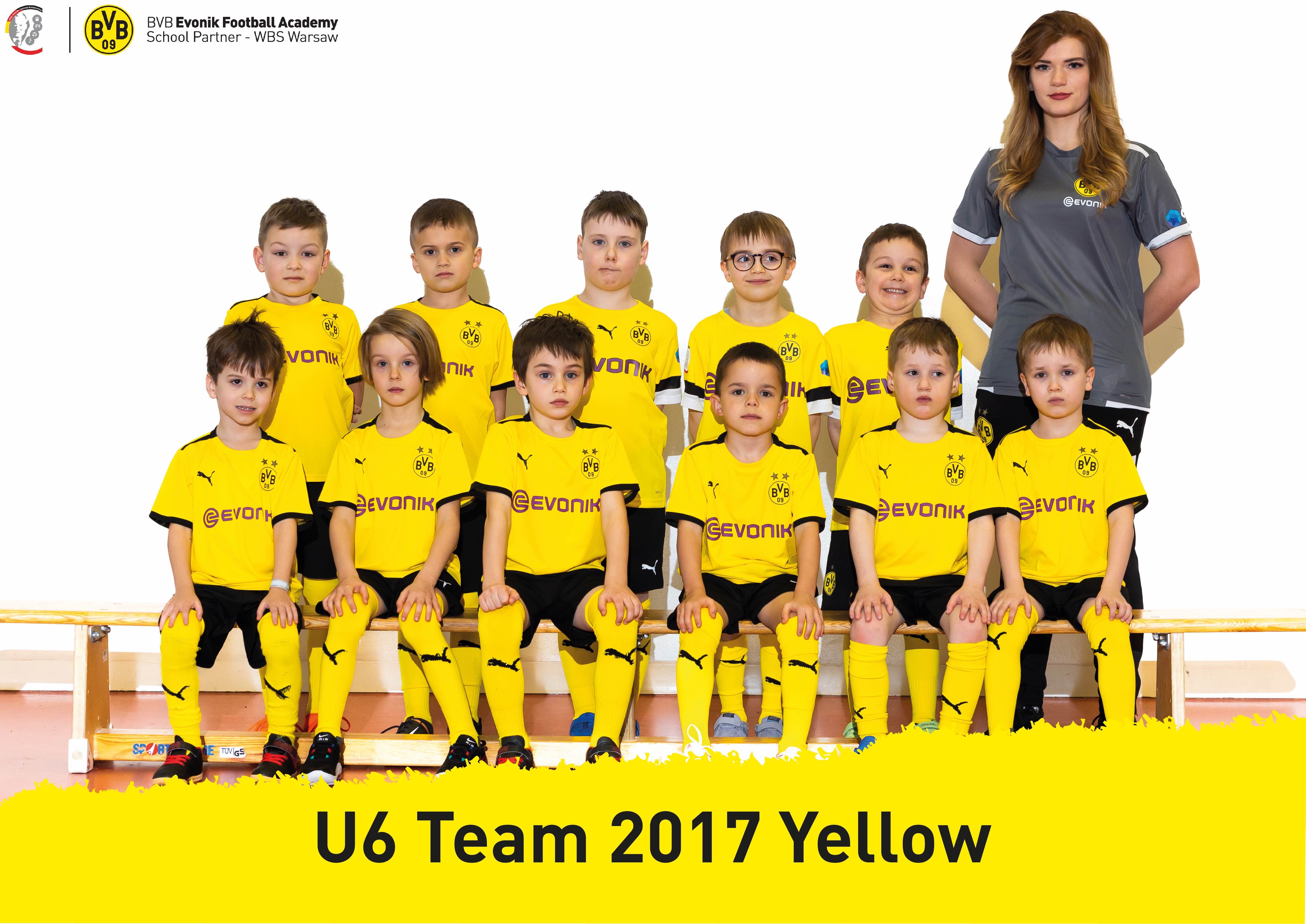 u6_2017_yellow.jpg
