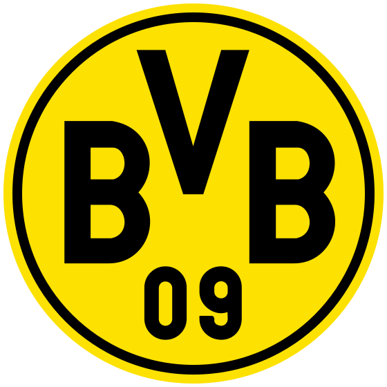 logo_bvb_png.png